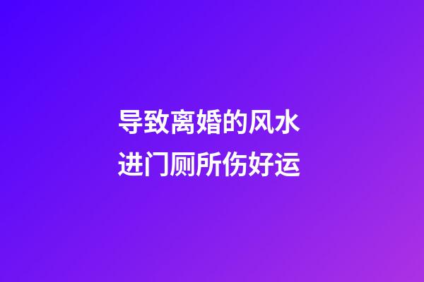 导致离婚的风水 进门厕所伤好运
